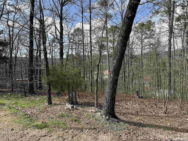 255 Gilmer Ln, Fountain Lake AR, 71901 land for sale