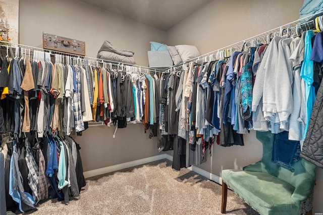 115 Gatehills Pl, Hot Springs, AR 71913 - spacious closet featuring carpet flooring