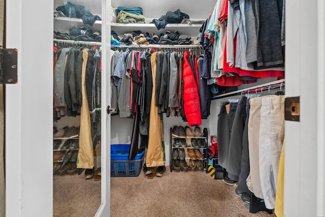 213 Gregory Dr, Hot Springs, AR 71913 - walk in closet with carpet