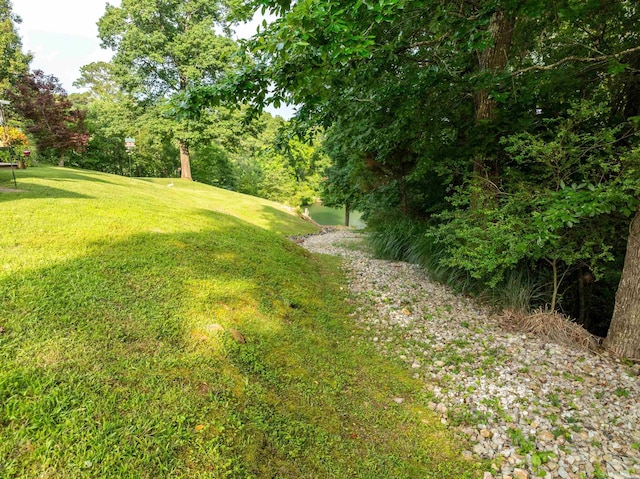 197F Catherine Heights Rd Unit F, Hot Springs, AR 71901 - photo 41