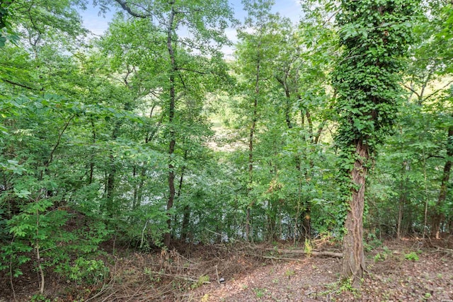 197F Catherine Heights Rd Unit F, Hot Springs, AR 71901 - photo 38