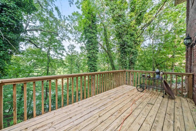 197F Catherine Heights Rd Unit F, Hot Springs, AR 71901 - photo 37