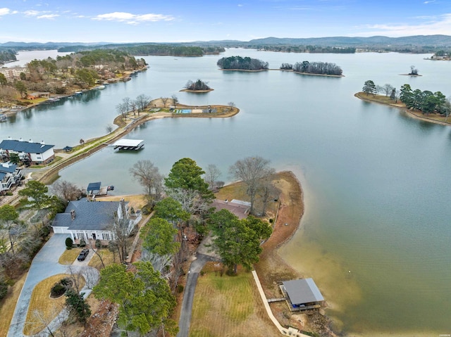 birds eye view of property with a water and mountain view