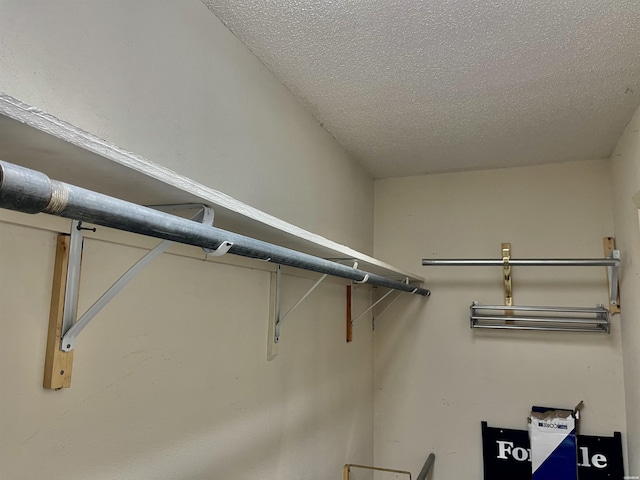 1135 Twin Pts Unit C, Hot Springs, AR 71913 - view of spacious closet