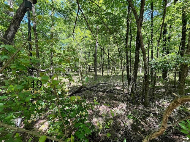 LOT19 Waterview Dr, Hot Springs AR, 71913 land for sale