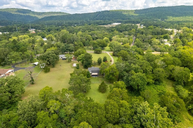 312 Millcreek Rd, Hot Springs, AR 71901 - photo 44