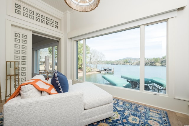 bedroom featuring access to exterior, a water view, and wood finished floors