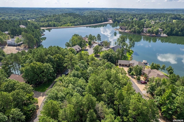 20 Ventoso Ln, Hot Springs Village, AR 71909 - photo 8