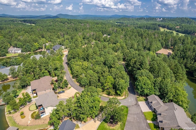 20 Ventoso Ln, Hot Springs Village, AR 71909 - photo 11