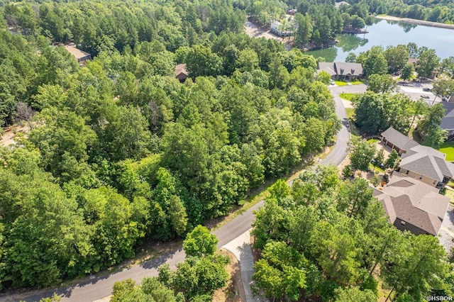 20 Ventoso Ln, Hot Springs Village, AR 71909 - photo 10