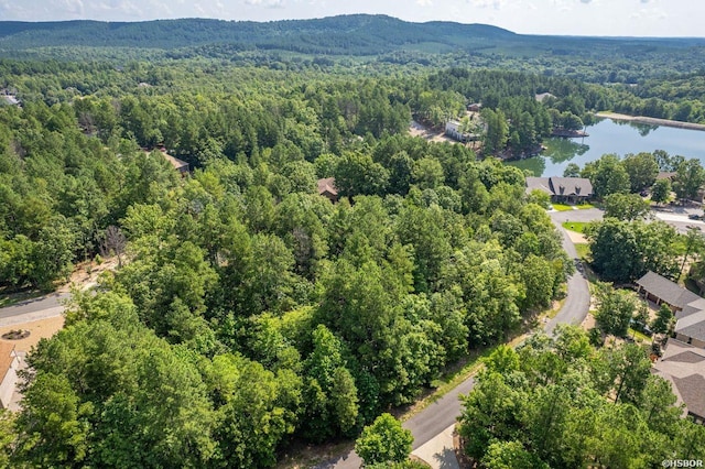 20 Ventoso Ln, Hot Springs Village, AR 71909 - photo 6