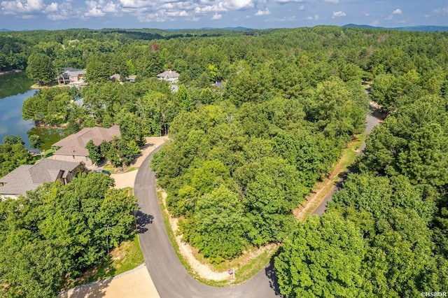 20 Ventoso Ln, Hot Springs Village, AR 71909 - photo 5