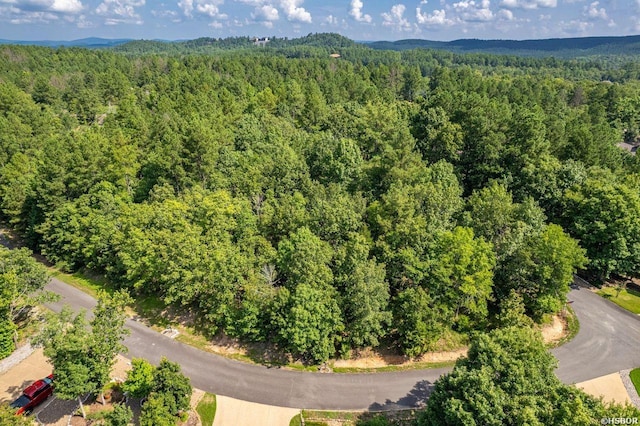 20 Ventoso Ln, Hot Springs Village, AR 71909 - photo 9