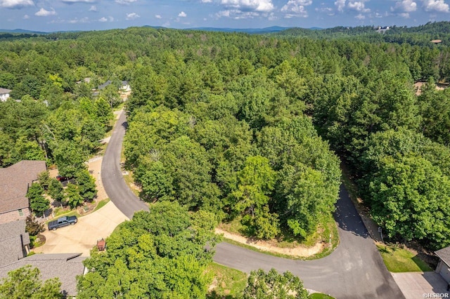 20 Ventoso Ln, Hot Springs Village, AR 71909 - photo 7