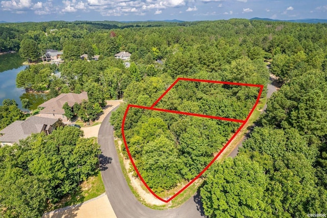 20 Ventoso Ln, Hot Springs Village, AR 71909 - photo 4