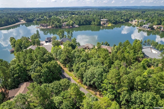 20 Ventoso Ln, Hot Springs Village, AR 71909 - photo 3