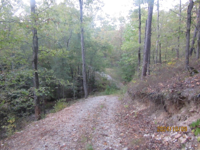 Listing photo 3 for 000 Bear Ridge Trl, Mountain Pine AR 71956