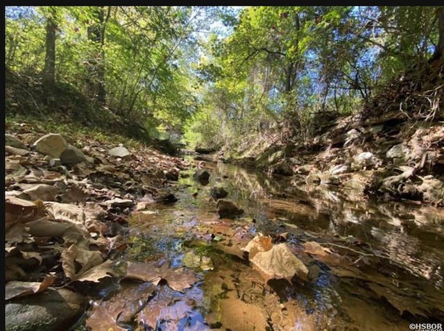 view of nature