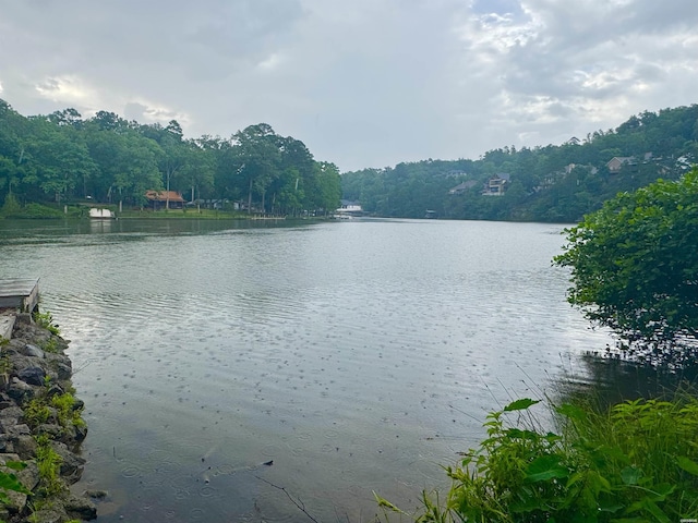 122 Mesa Trl, Hot Springs, AR 71913 - water view featuring a heavily wooded area