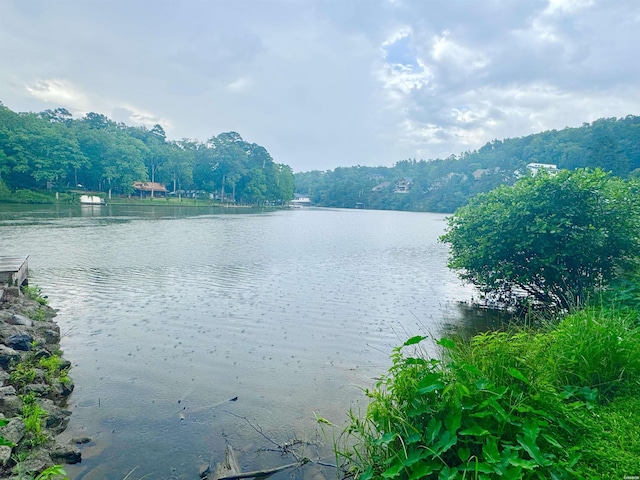 122 Mesa Trl, Hot Springs, AR 71913 - water view with a heavily wooded area