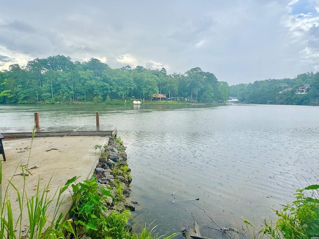 122 Mesa Trl, Hot Springs, AR 71913 - water view with a forest