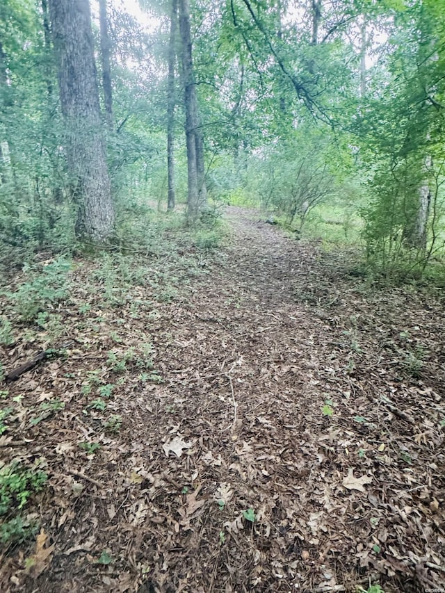 122 Mesa Trl, Hot Springs, AR 71913 - view of wooded area