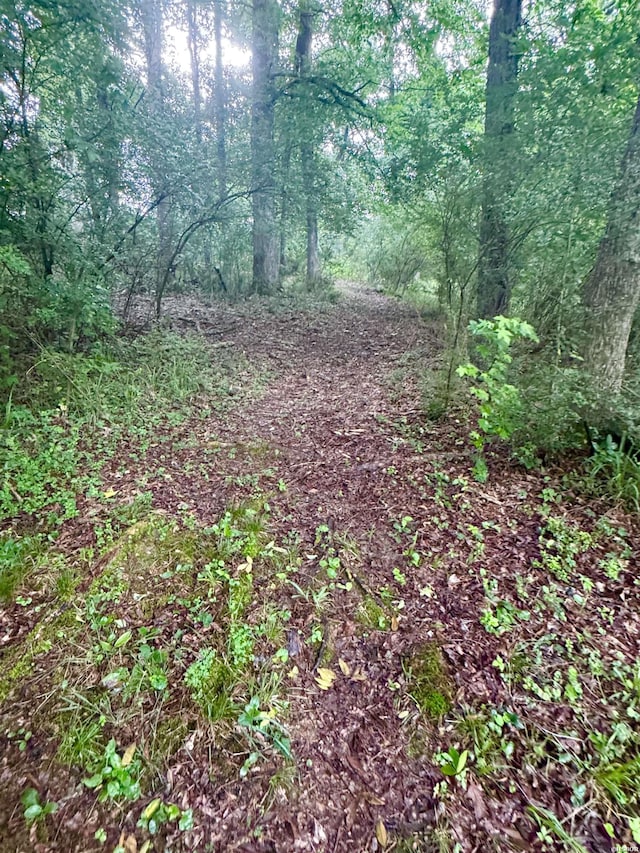 122 Mesa Trl, Hot Springs, AR 71913 - view of tree filled area