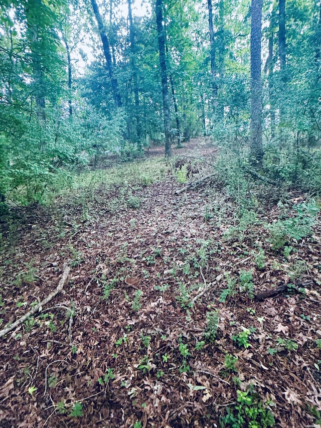 122 Mesa Trl, Hot Springs, AR 71913 - view of undeveloped land