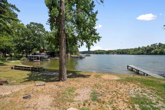 dock area with a water view