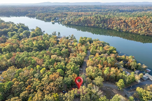 drone / aerial view featuring a water view and a forest view