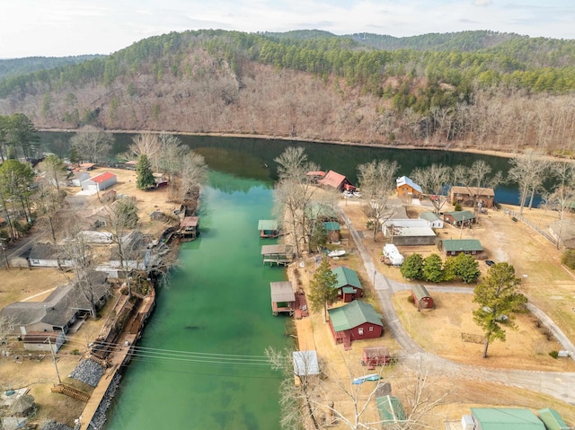 aerial view with a water view and a view of trees