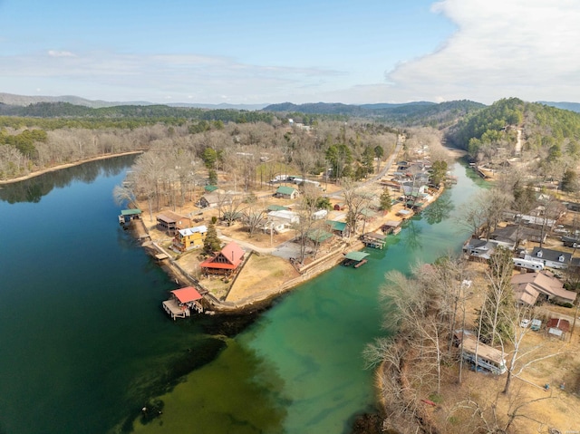 bird's eye view with a forest view and a water view