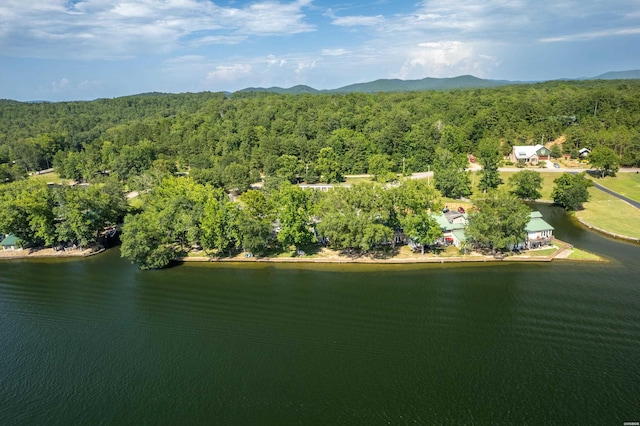 183 River Mill Ct Unit B-2, Hot Springs, AR 71913 - aerial view of a forest and a water and mountain view