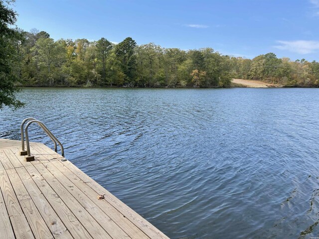 dock area featuring a water view and a view of trees