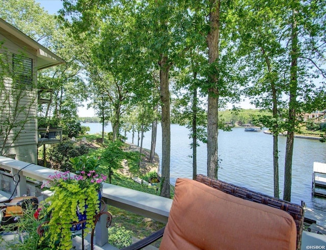 370 Restful Ridge Rd, Hot Springs, AR 71913 - water view