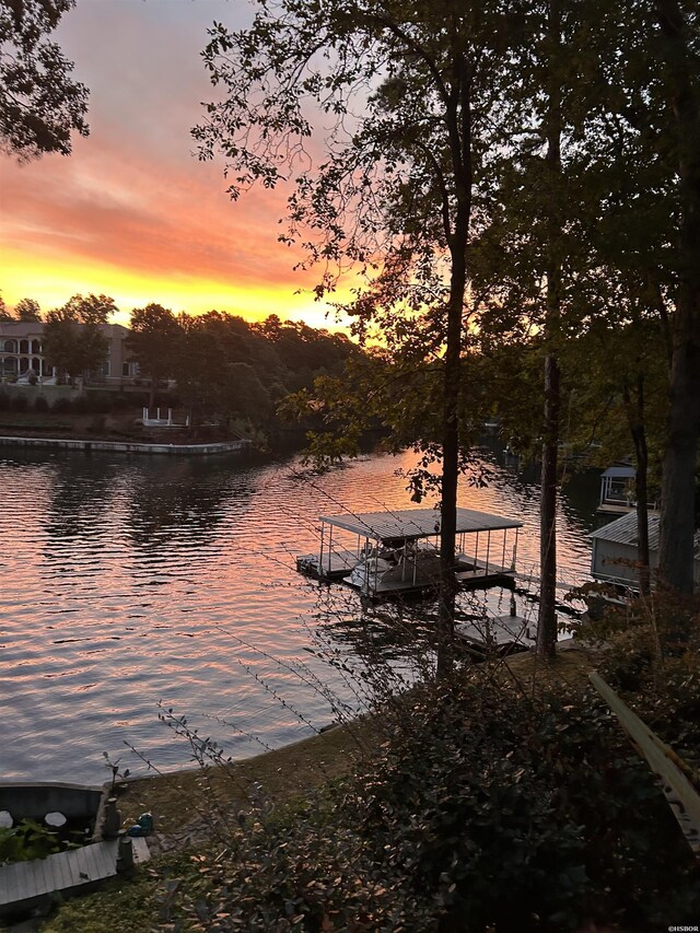 property view of water featuring a boat dock