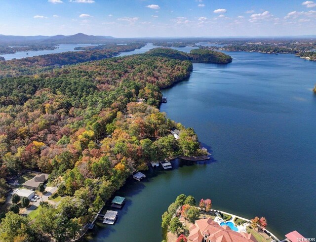 birds eye view of property with a forest view and a water view