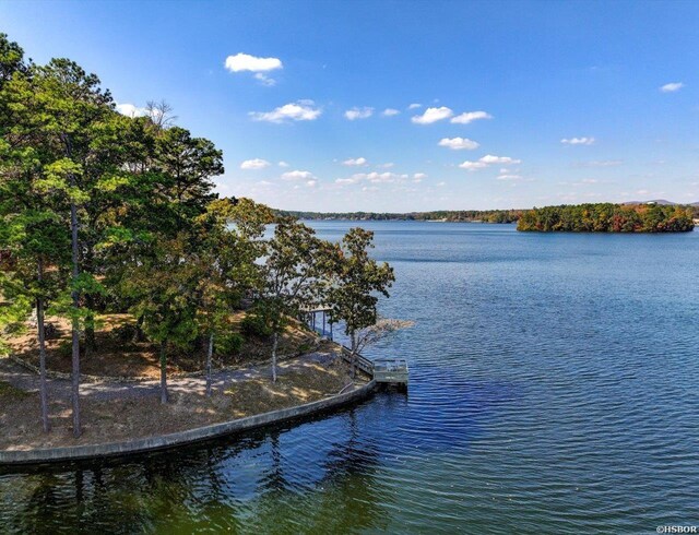 property view of water