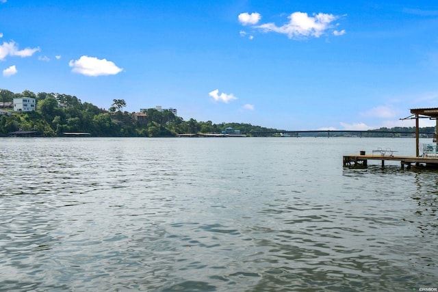 218 Mcdonald Loop, Hot Springs, AR 71913 - photo 46
