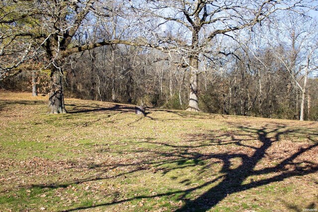 view of nature