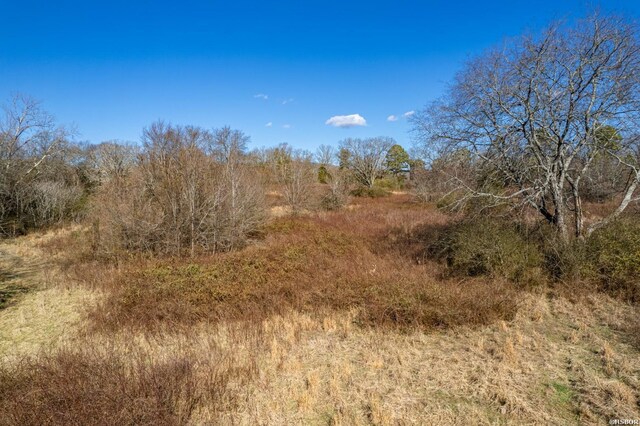 view of local wilderness