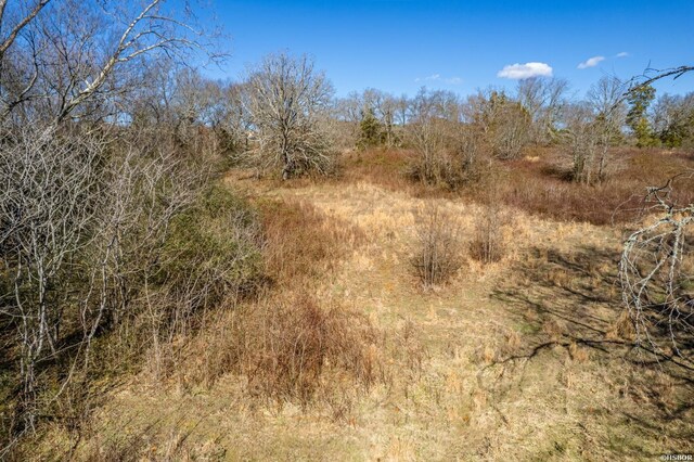 view of local wilderness