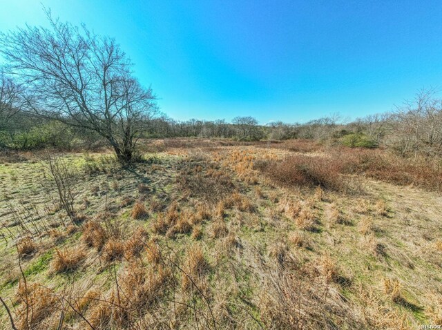 view of local wilderness featuring a rural view