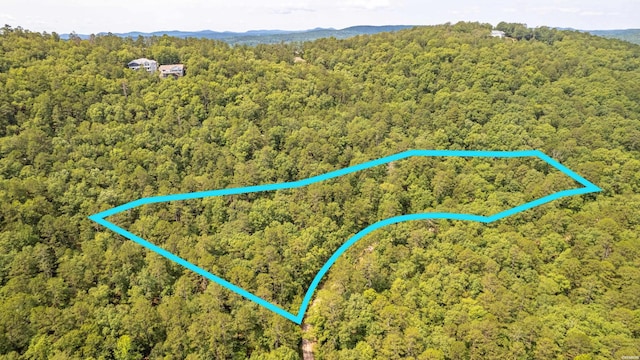 28 Devaca, Hot Springs Village AR, 71909 land for sale