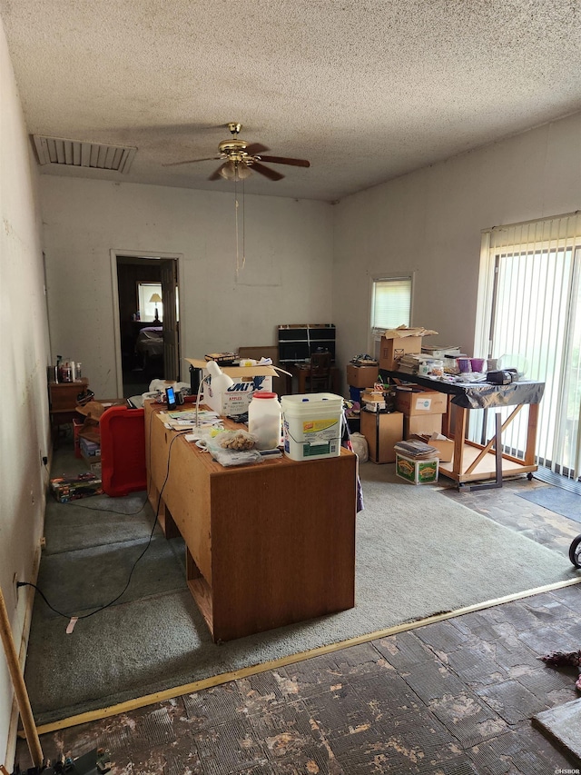 256 Shawnee Loop, Amity, AR 71921 - carpeted office space with a textured ceiling and ceiling fan
