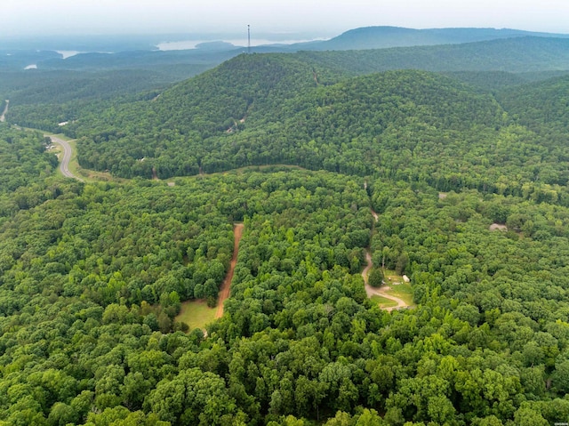 00000 Cross Creek Rd, Mount Ida, AR 71957