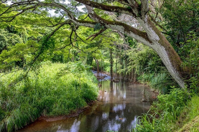 view of local wilderness with a water view