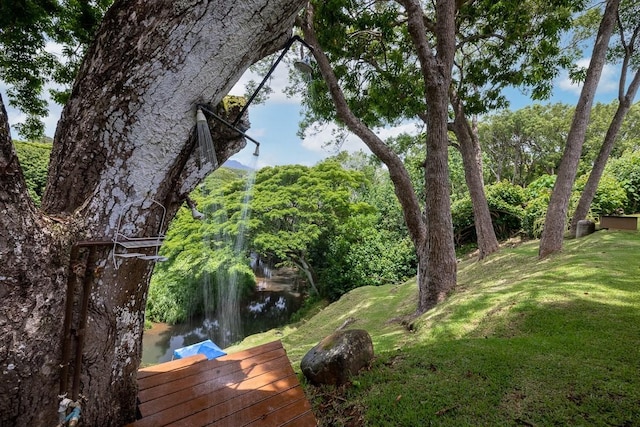 view of yard with a water view