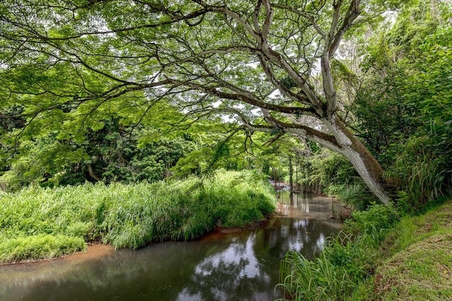 view of nearby features with a water view