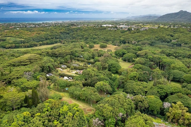 drone / aerial view featuring a mountain view